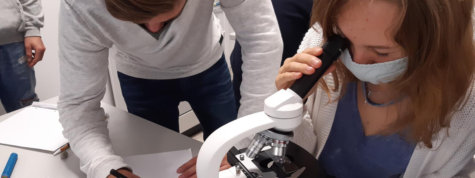 micro Vorschaubild