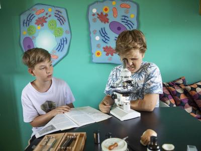 Kinder mit Mikroskop forschen